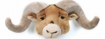 Bibib Ram trophy `One size