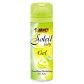 Bic SOLEIL CITRUS SHAVE GEL 150ML