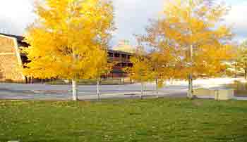 BIG BEAR LAKE Marina Resort