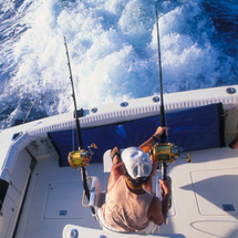 Big Game Fishing, Agadir - Adult