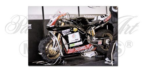 1:12 Scale Ducati 998RS - D. Garcia -