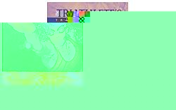 The Triathletes Training Bible