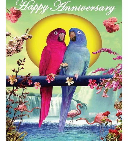 Anniversary Greetings Card - Two Parrots - By Max Hernn