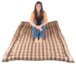 Bill Brown Double Roll Up Bed ~ Lekha