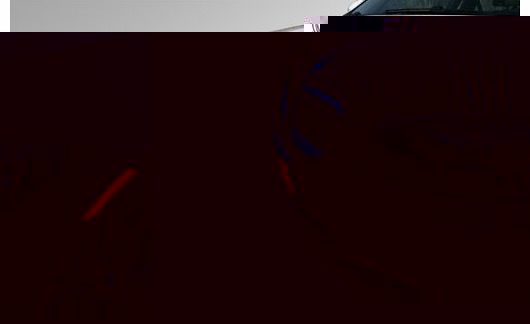 Car Eyelashes Decorative Fashion Accessory