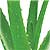 bioforce Aloe Vera Complex - 50ml