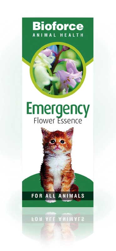 Emergency Essence for Animals