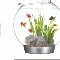 60Ltr Acrylic Fish Tank Aquarium Bowl