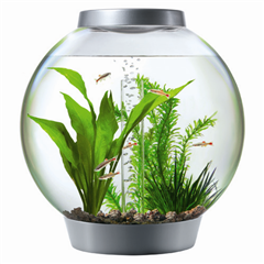Baby BiOrb with Light 15Ltr Coldwater Fish Tank