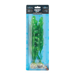 Plant Pack (2) Medium