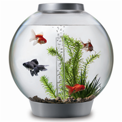 biOrb with Light 30Ltr Coldwater Fish Tank