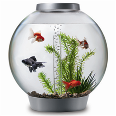 comparestoreprices.co.uk30Ltr Coldwater Fish Tank comparestoreprices.co.uk30Ltr Coldwater Fish Tank