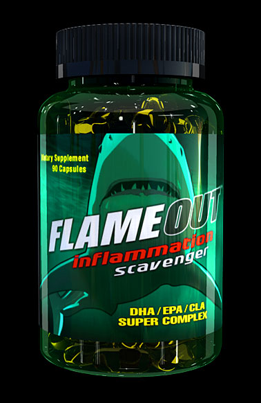 Biotest Flameout (90 Capsules)