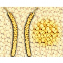 Bird Albert E James Chinese Millet Spray 10-12 15Kg