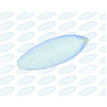 Bird Albert E James Cuttlefish Bone 11.36Kg (6-8)