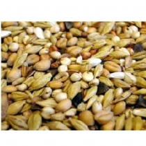 Bird Albert E James Depurative 20kg