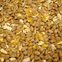 Albert E James Farmgate Chicken Feed 20Kg Layers