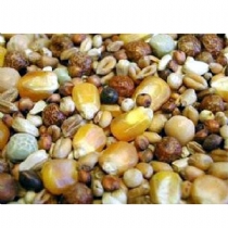 Bird Albert E James Moulting 20kg