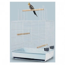 Bird Savic Sirocco 60 Single