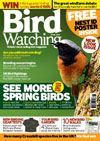 Bird Watching Quarterly Direct Debit   FREE Polo
