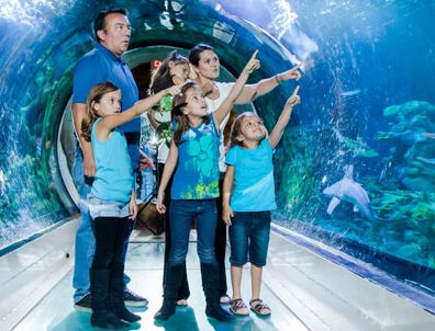 Birmingham Sea Life Centre