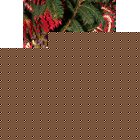 Bishopston Christmas Garlands (3 Pack)