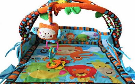 BKids Play with me Gym