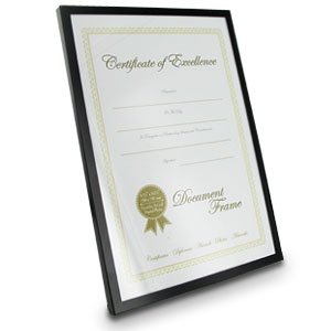 A4 Document or Certificate Photo Frame