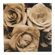 Black and White Roses Paper Canvas