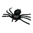 Black BLACK HAIRY SPIDER
