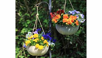 Black Hanging Basket