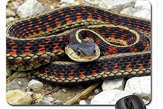 Black Pearl Garter Snake 2 Mouse Pad, Mousepad (Reptiles Mouse Pad)