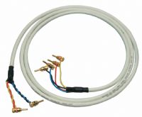 Black Rhodium AST200x2 Bi-Wire Speaker Cable - 7 Metres- : No Terminations