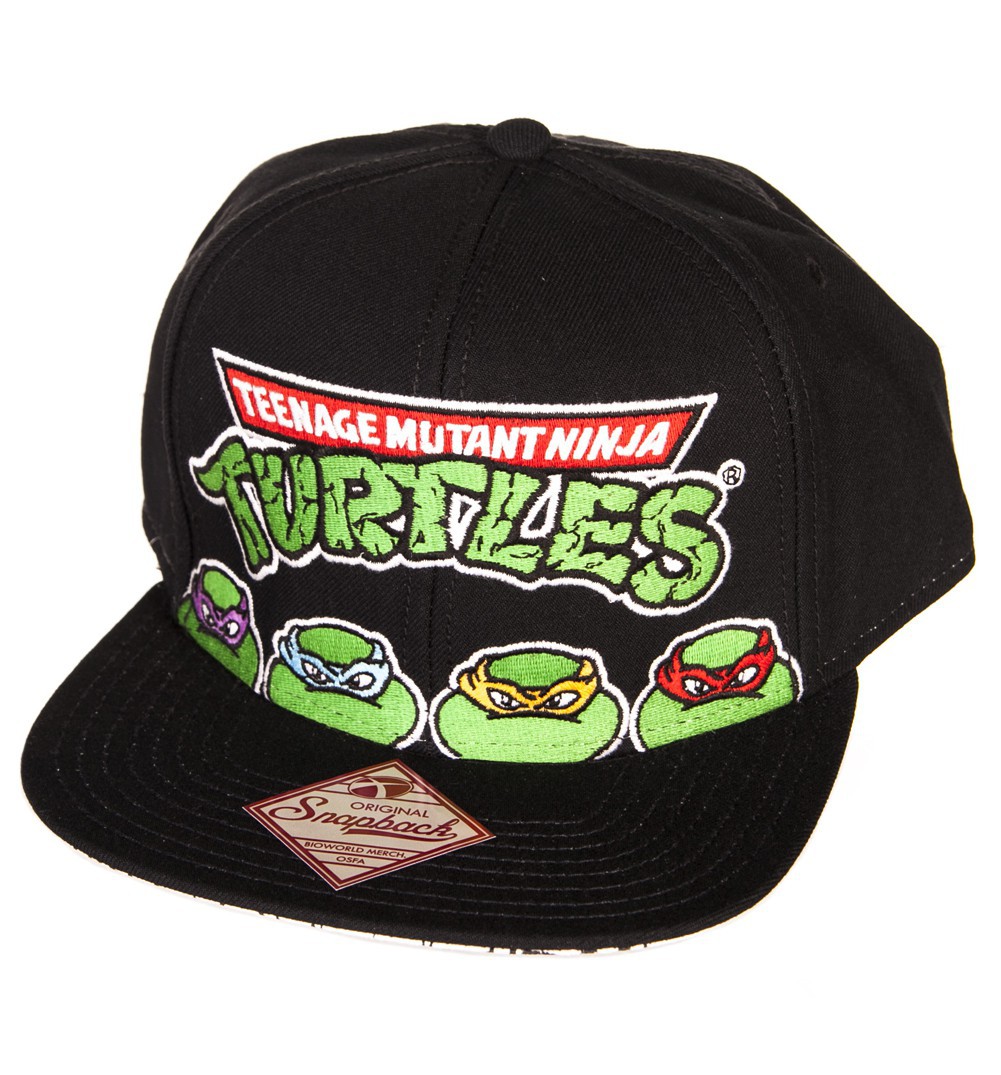 Teenage Mutant Ninja Turtles Snap Back