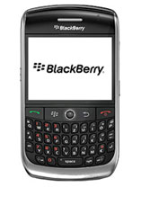 Blackberry Orange Panther andpound;40 Blackberry - 18 Months