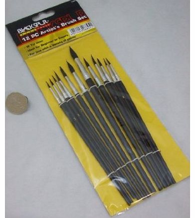 Blackspur 12pc Artist Paint Brushes Set Art School Model Hobby Pack