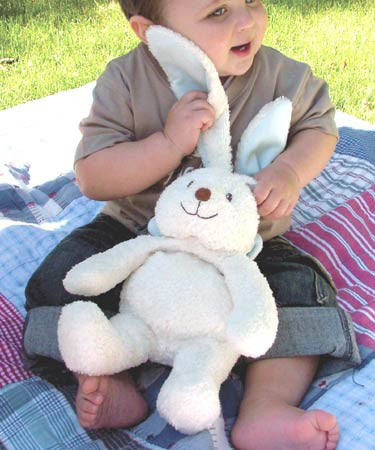 Blankie Bear Buggy Blanket Bunny