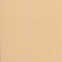 Annis Apricot (89mm)