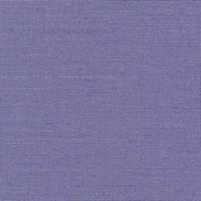 Annis Larkspur (89mm)