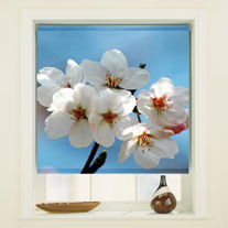 blinds-supermarket.com blossom