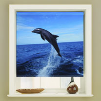 blinds-supermarket.com flying high