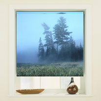 blinds-supermarket.com foggy morn