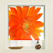 blinds-supermarket.com gerbera