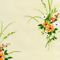 blinds-supermarket.com Lauren Green