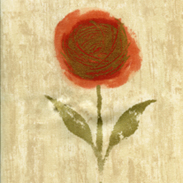 blinds-supermarket.com Lucie Spice (Lined)