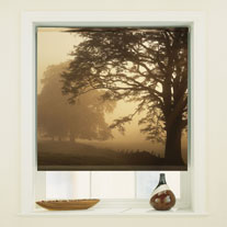 blinds-supermarket.com morning mist
