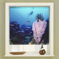blinds-supermarket.com under the sea