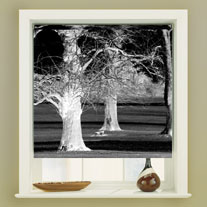 blinds-supermarket.com winter