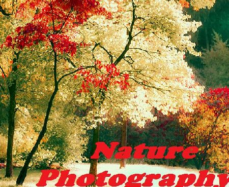 Bliss Apps Nature Photography