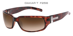 Bloc DAKAR - SHINY TORTOISESHELL FRAME - SMOKE